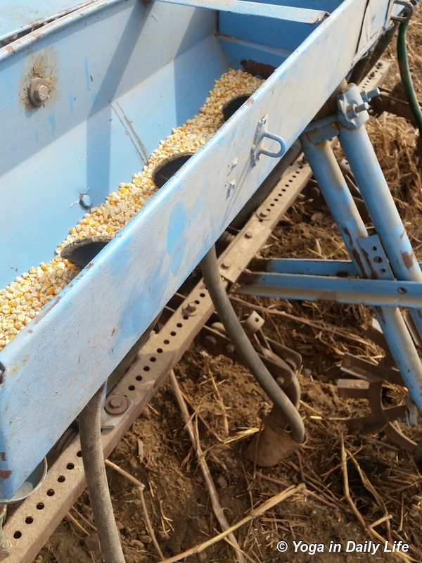 Mechanism for planting corn